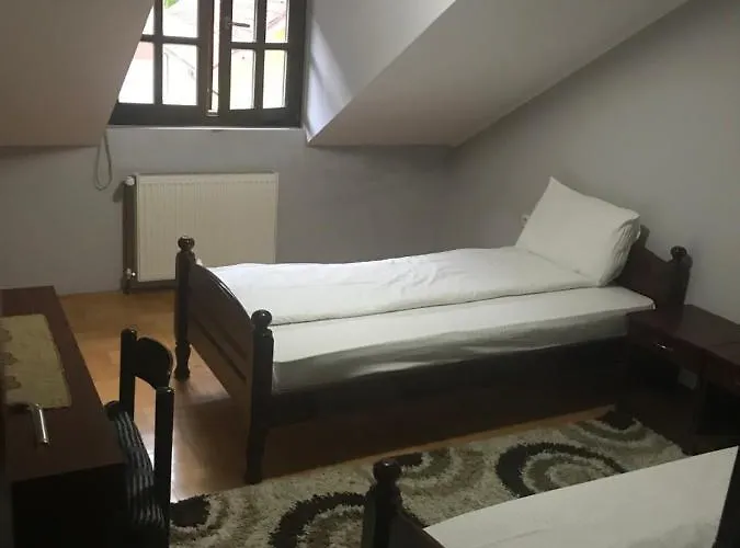 Kaplarevic Smestaj 公寓 伊万尼察