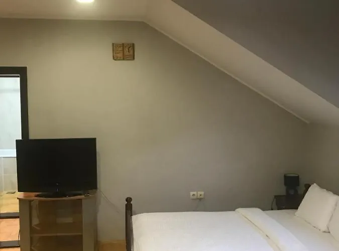 公寓 Kaplarevic Smestaj