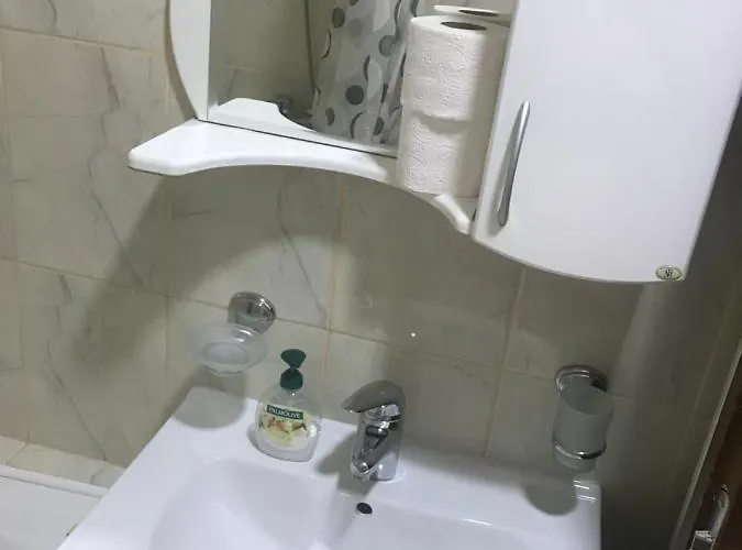 Kaplarevic Smestaj 公寓