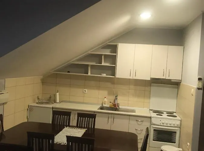 Kaplarevic Smestaj 公寓 *